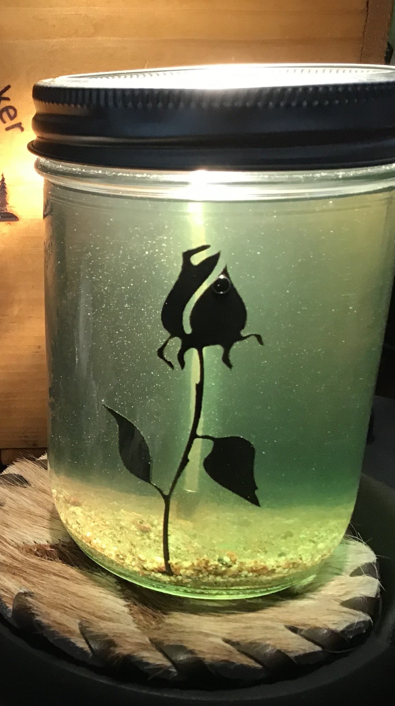 Rose-16oz